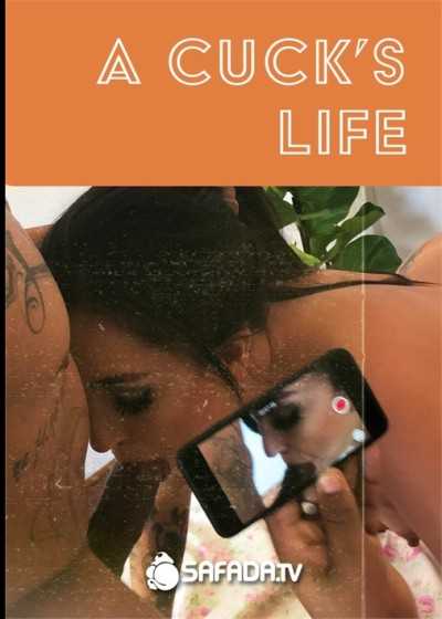 戴綠帽者的一生