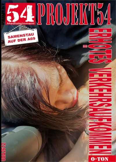 Samenstau auf der A69