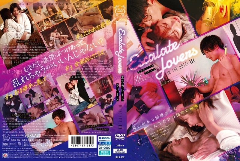 逐漸高漲的戀人IN THE HOTEL 3